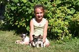 ENFANT ET CHIEN 629